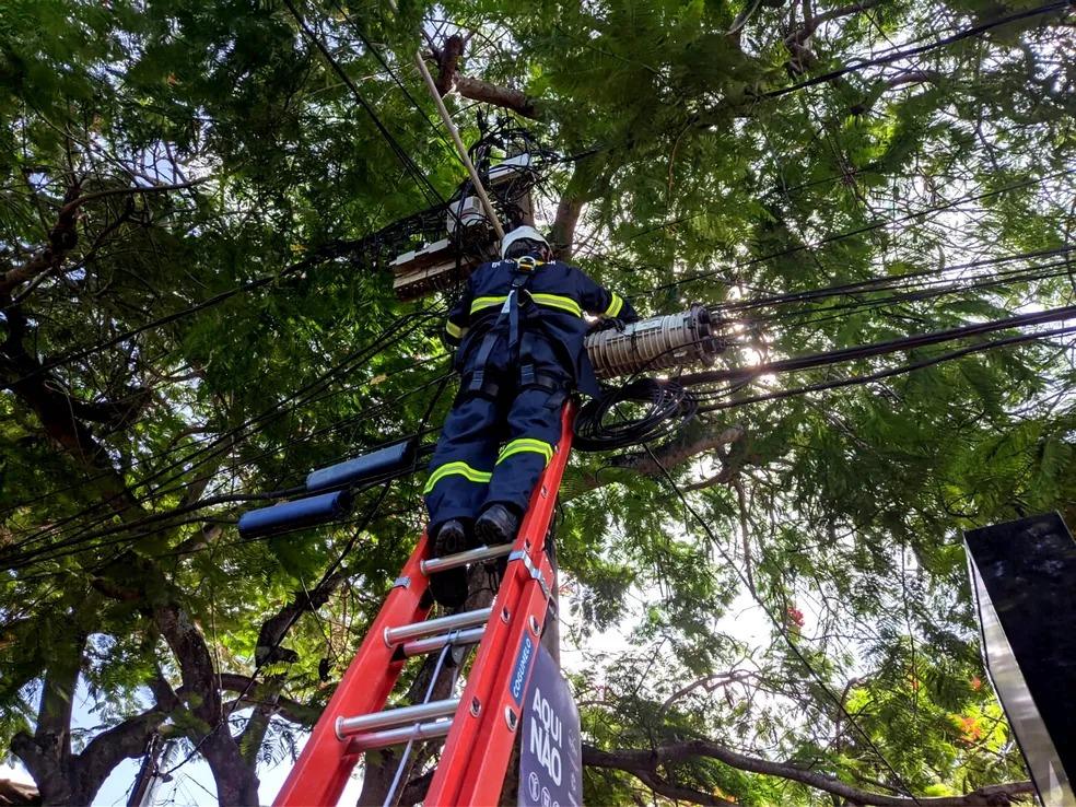 Apagão nacional deixa cidades do Paraná e ao menos 18 estados sem energia