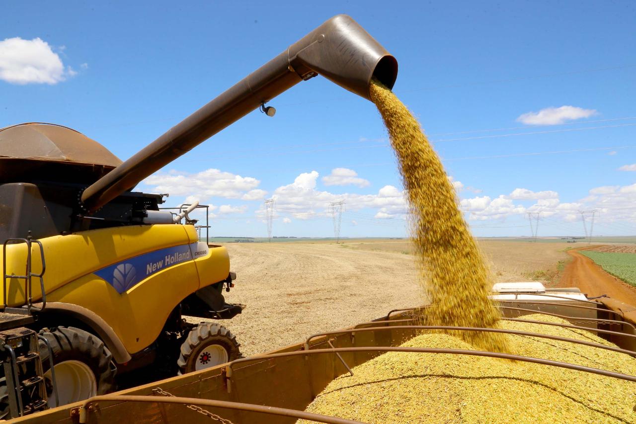 Exportações do Paraná alcançam US$ 14,4 bilhões entre janeiro e julho, alta de 13,3%