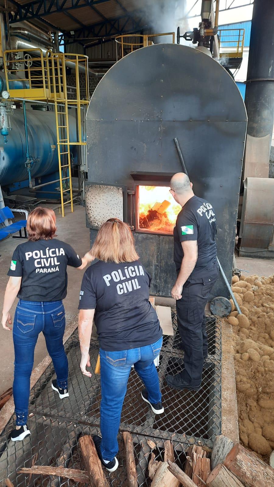 Polícia Civil de Iporã realiza mais uma ação para destruição de 883 kg de maconha