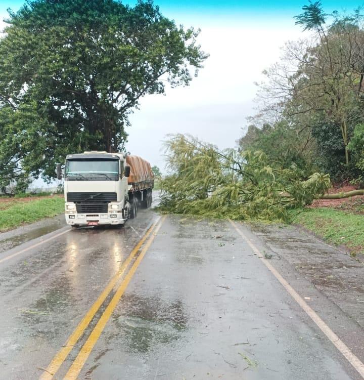 Temporal atinge a região e causa estragos