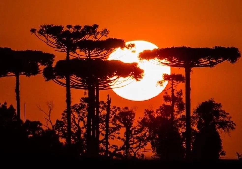 Alerta indica onda de calor com riscos à saúde em 289 cidades do Paraná; Iporã está na lista