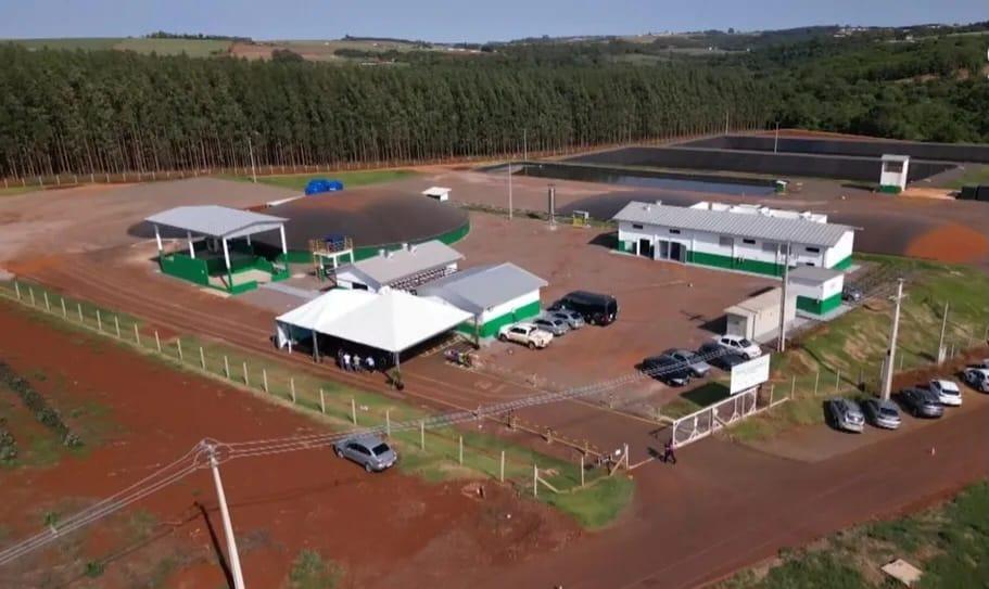 Estrume de porco vira energia elétrica na cidade que mais produz carne suína no Brasil