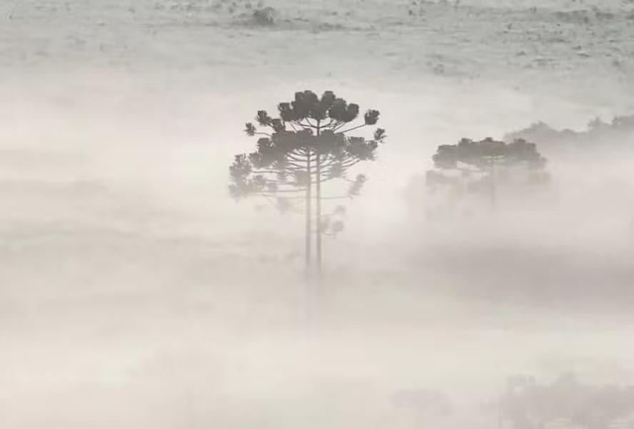 Em pleno verão, região Sul do país registra temperaturas mais baixas que a Patagônia