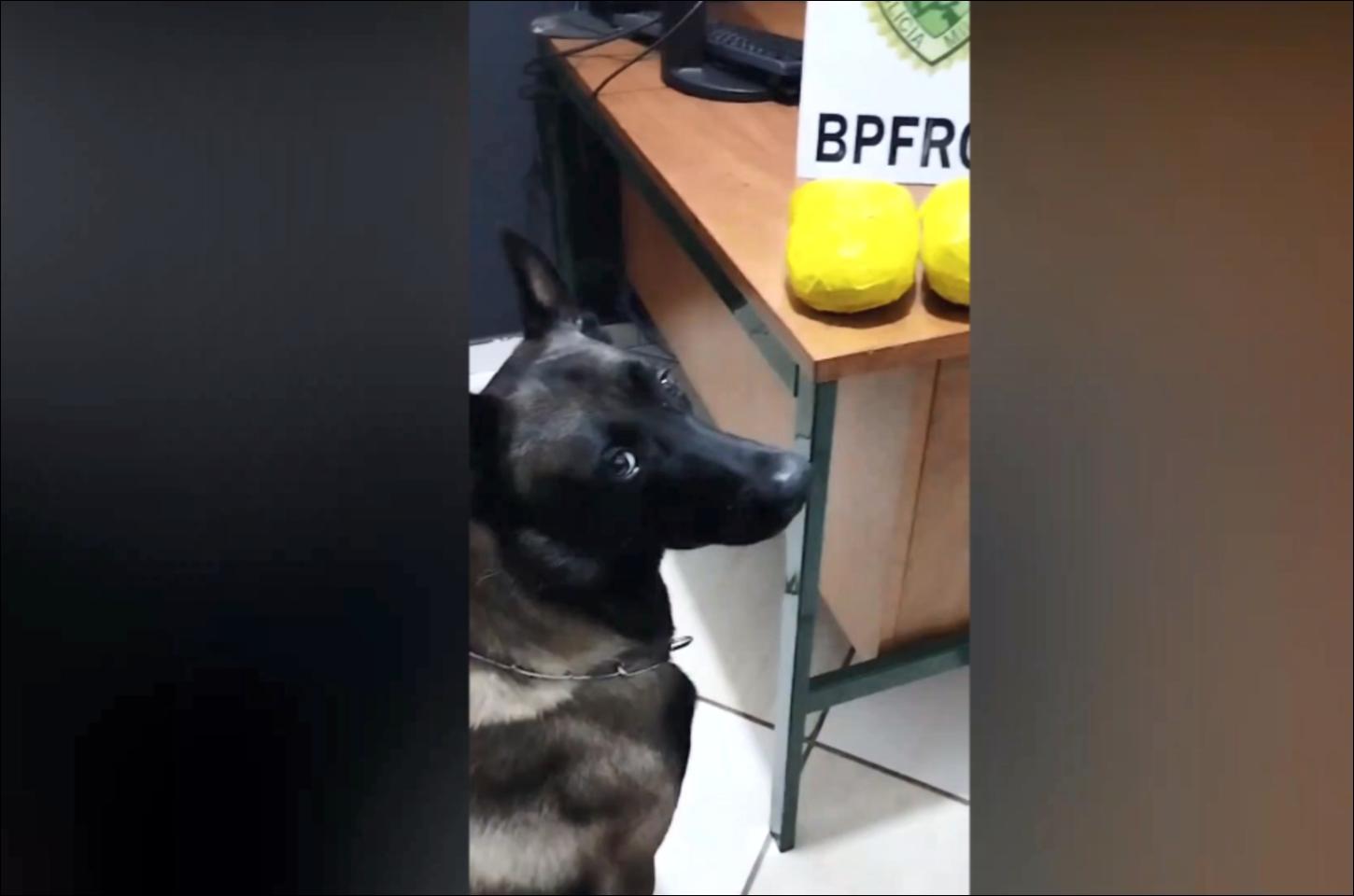 Mulher é presa por transportar Haxixe em ônibus interestadual durante Operação do BPFRON