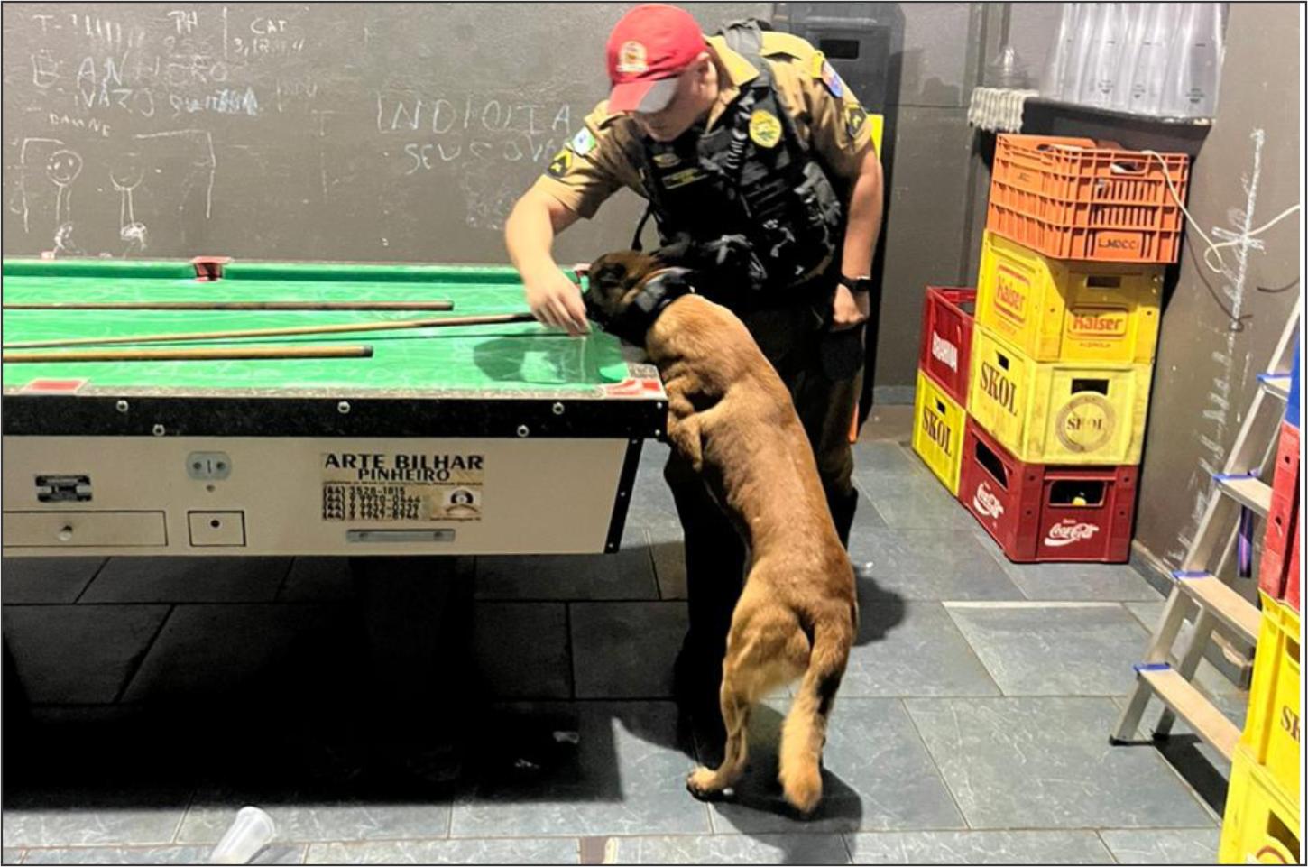 Cão policial descobre drogas em caixa de correspondência de bar em Palotina