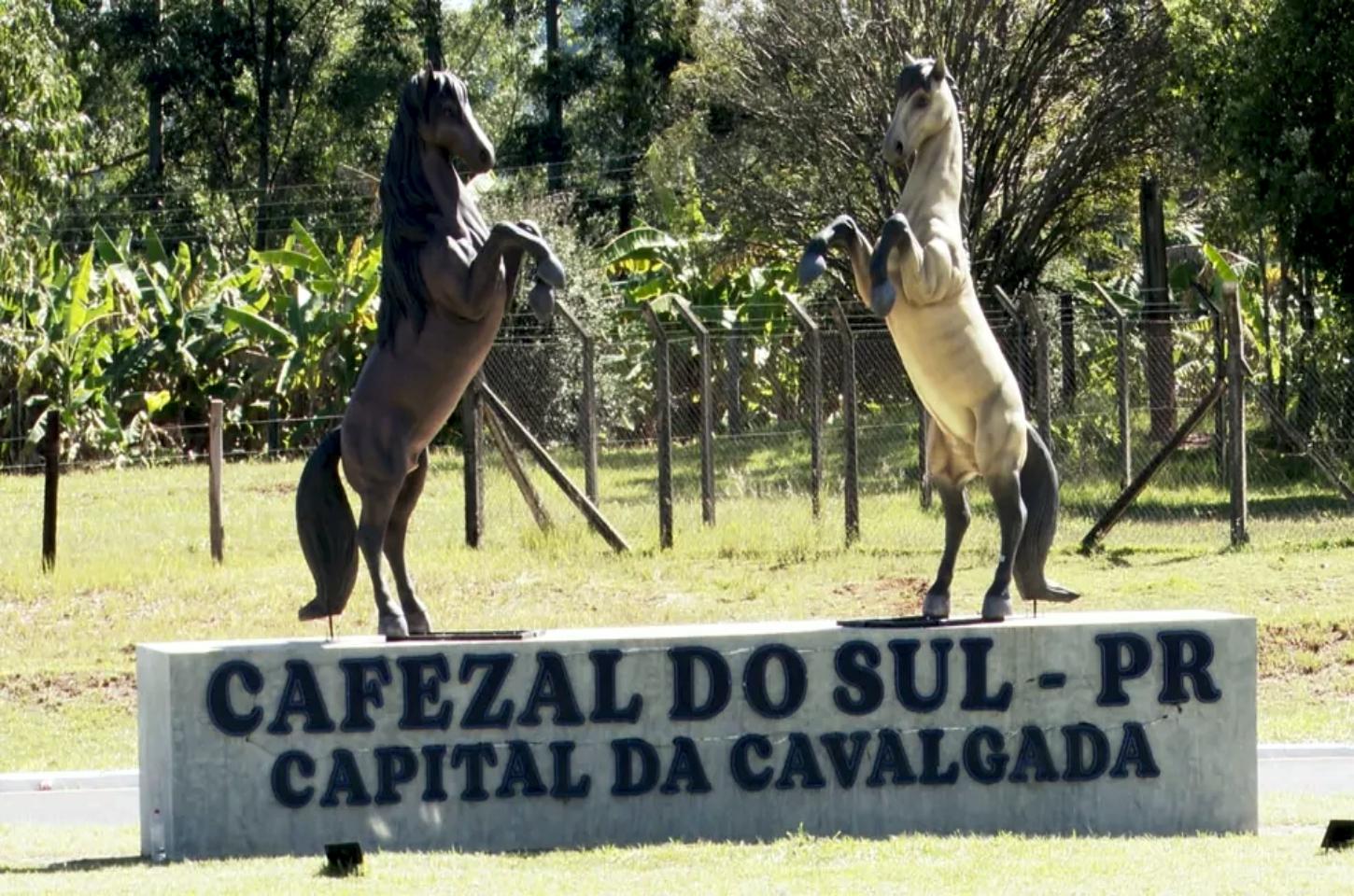 Idosa de 70 anos comete suicídio em Cafezal do Sul