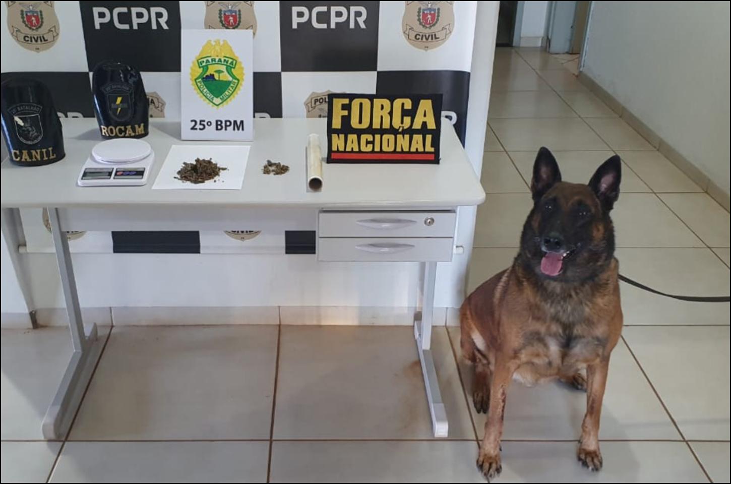 Operação conjunta em Alto Piquiri combate à posse ilegal de Armas