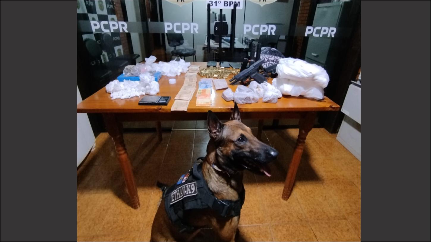 Polícia apreende drogas e armas em Palotina