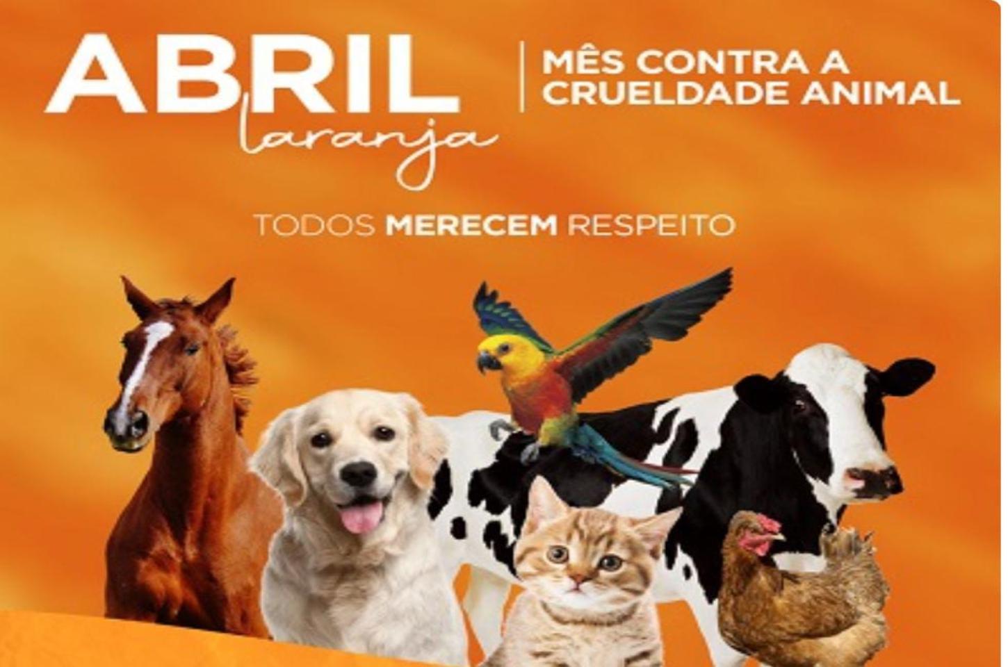 Um Chamado à Ação: A Luta Contra a Crueldade Animal