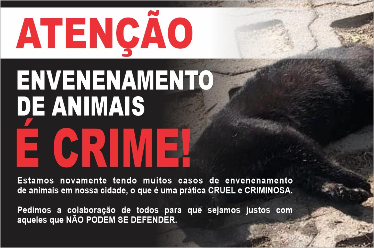 Animais Envenenados em Iporã: Comunidade Alerta o aumento dessa Crueldade.