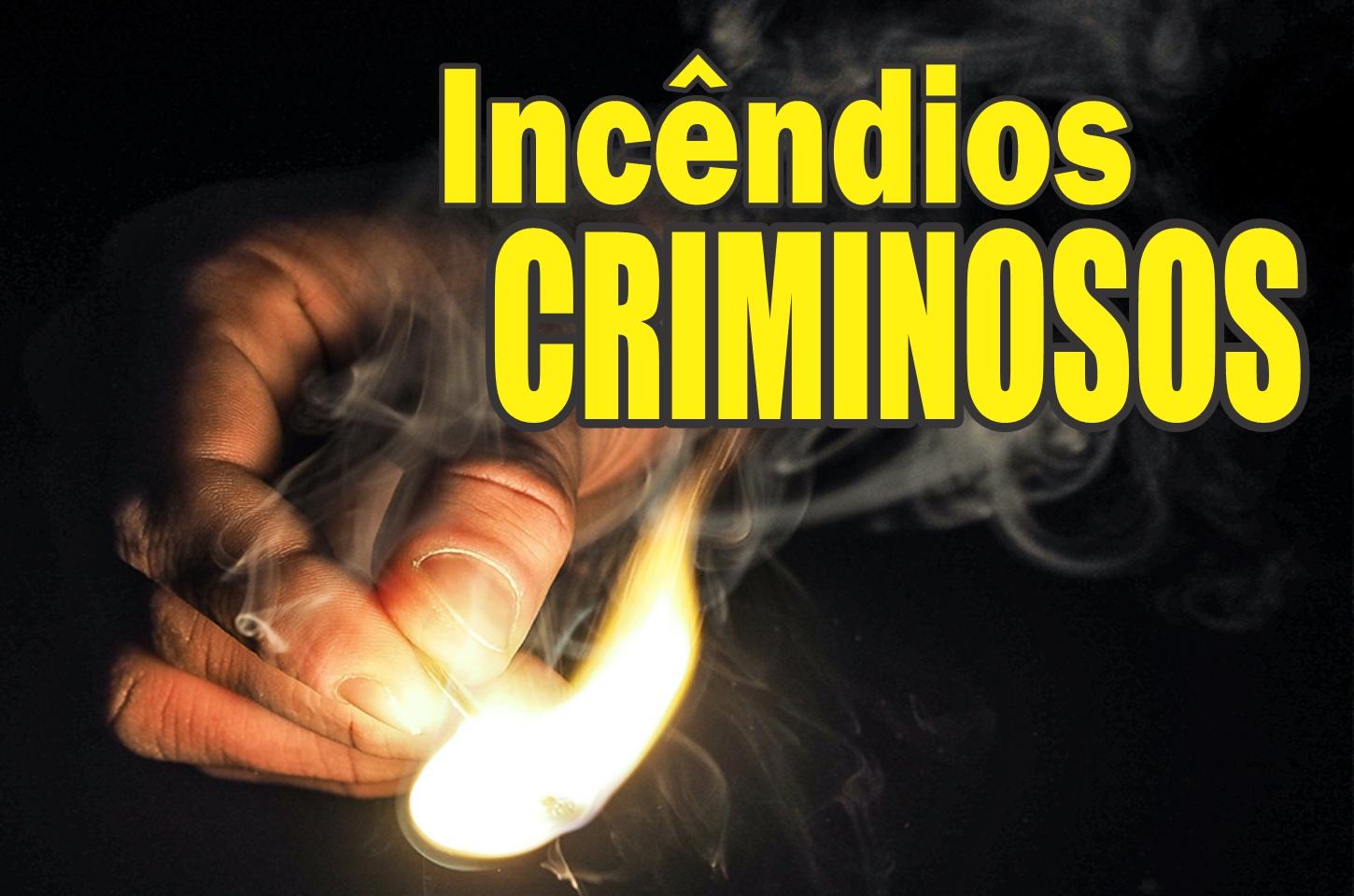 Jovem de 18 anos é preso pela Polícia Civil em cumprimento de mandado de prisão preventiva por incêndios criminosos em Pérola
