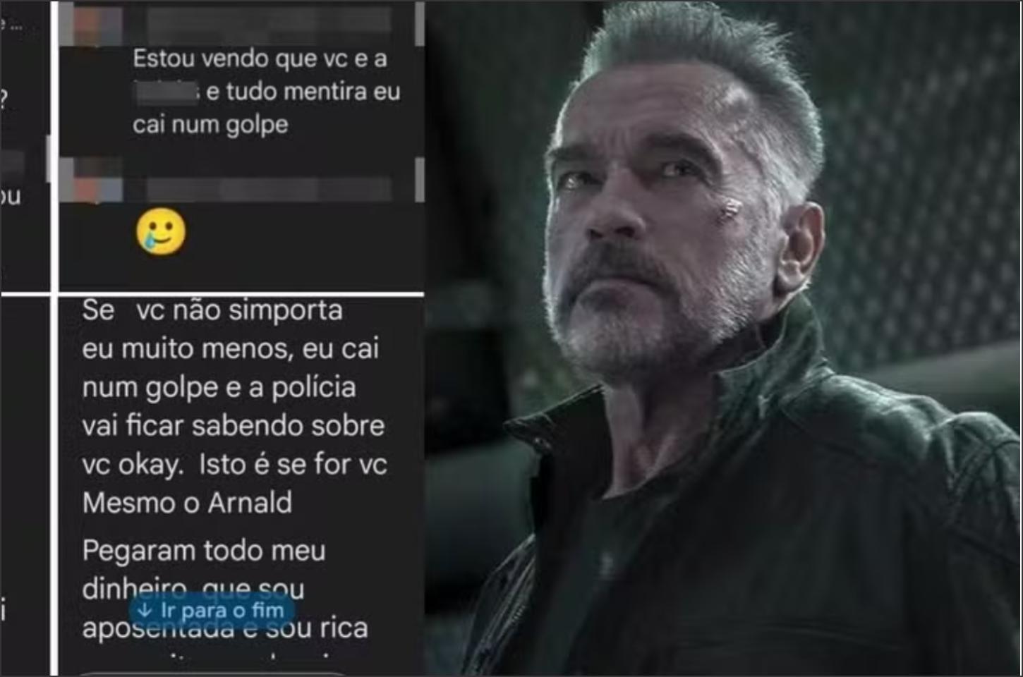 Tudo mentira, caí em um golpe', diz idosa em troca de mensagens com golpista que se passou pelo ator Arnold Schwarzenegger