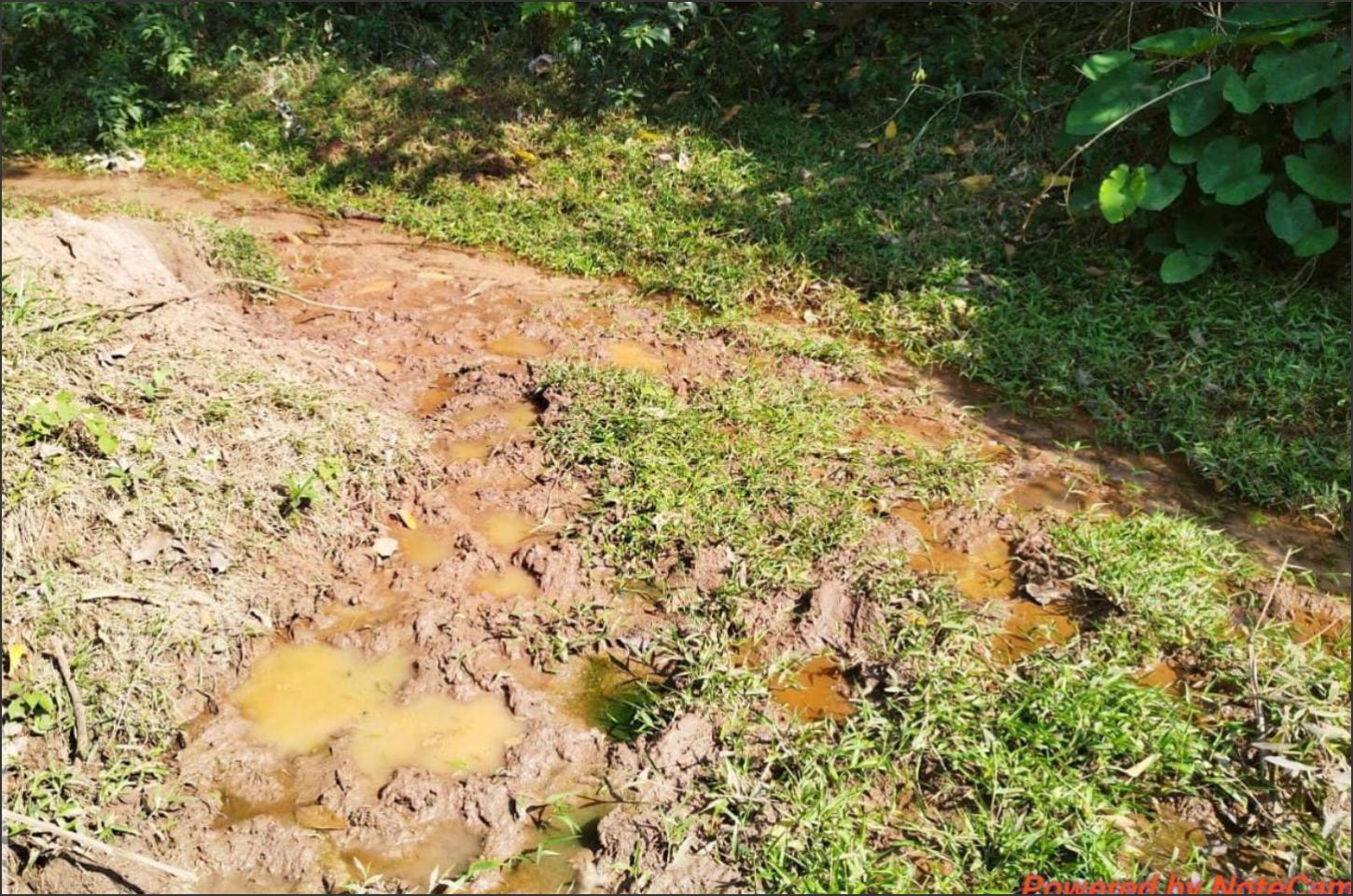 Polícia Ambiental de Umuarama intervém em dano a Área de Preservação em Francisco Alves