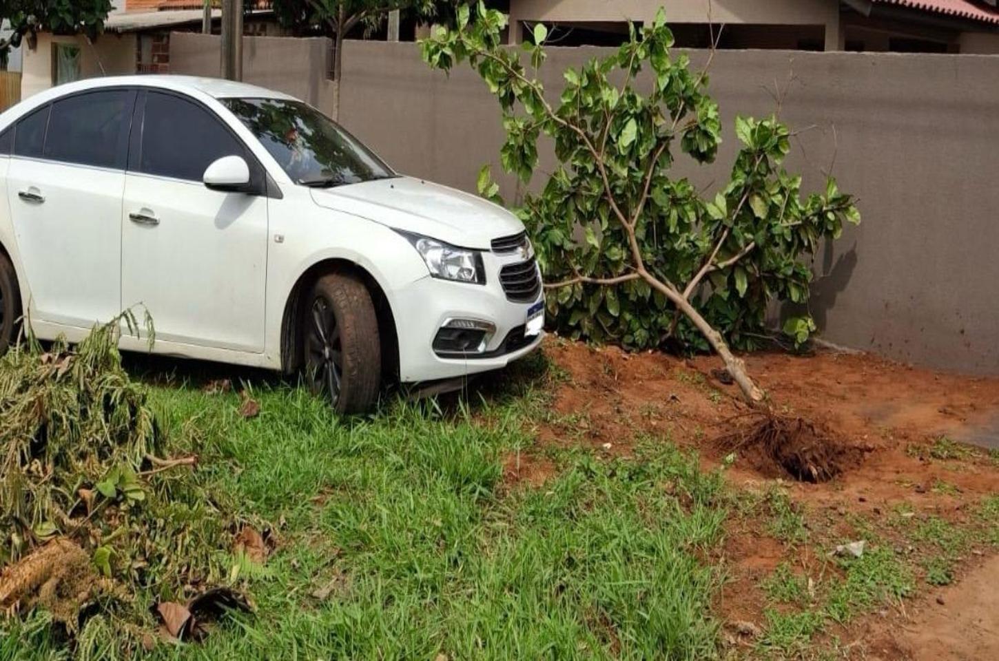 Motorista embriagado colide com árvore no centro de Iporã