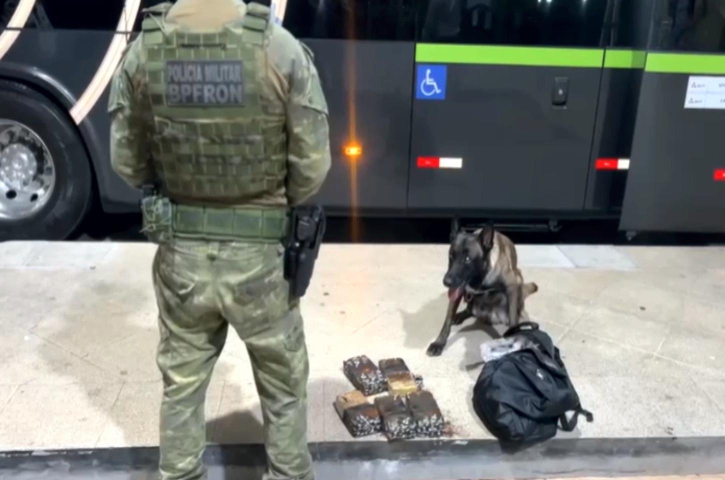 BPFRON apreende 5,2 kg de crack em ônibus na rodoviária de Umuarama