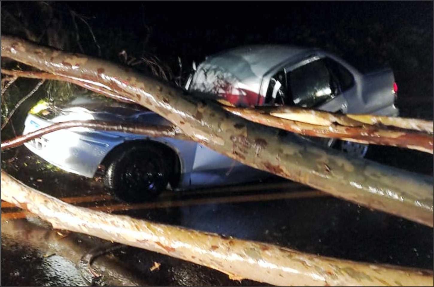 Árvore cai sobre veículo na PR-323 e deixa três feridos, incluindo um bebê.