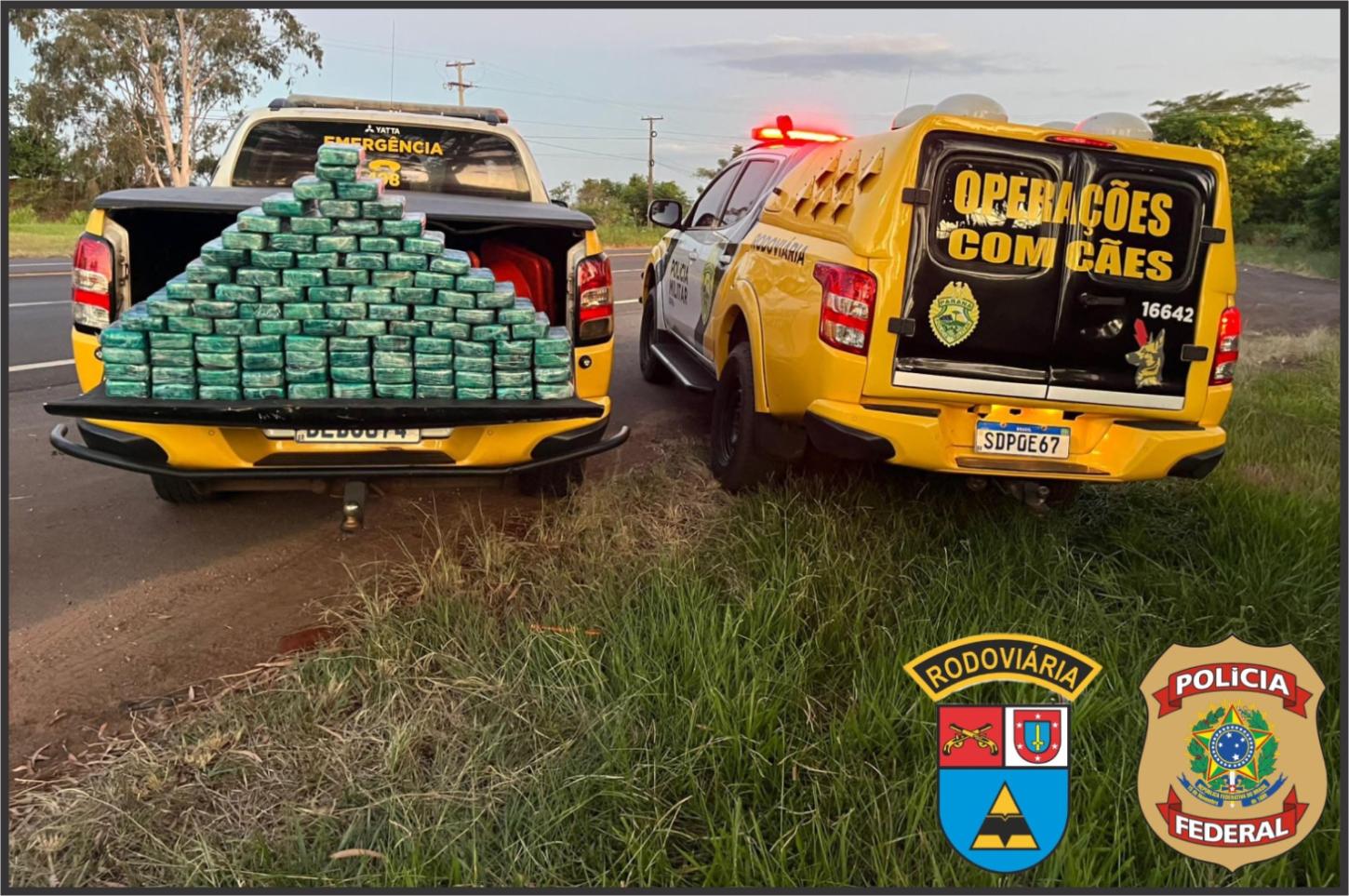Grande apreensão de drogas é realizada em operação conjunta na PR-323