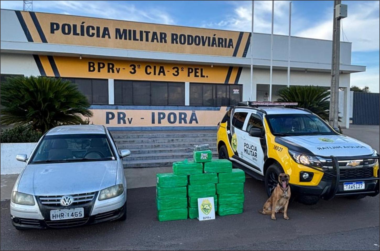 Polícia apreende 254 kg de maconha em rodovia do Paraná durante operação com cães farejadores