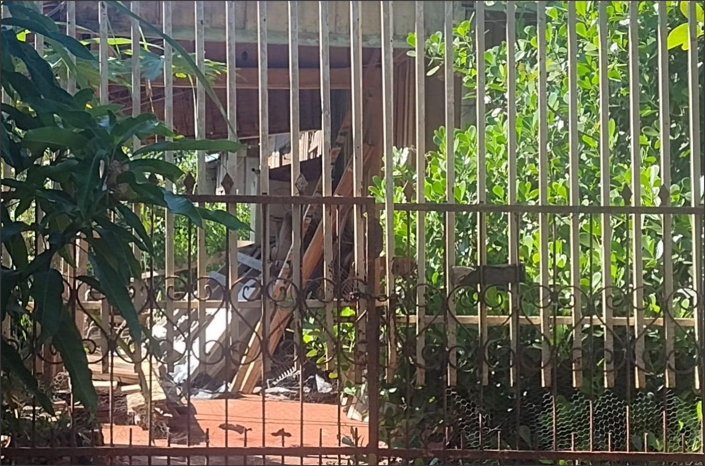 Moradora abandona cachorro e cinco gatos ao se mudar de Altônia
