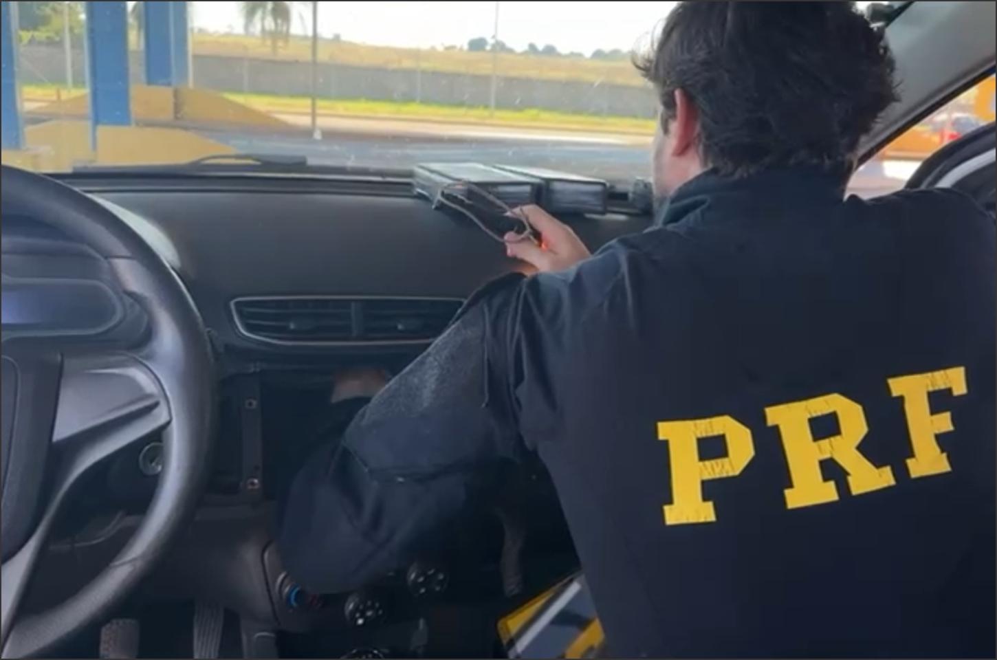 PRF apreende quase 25 quilos de cocaína escondidos em veículo ocupado por família em Francisco Alves