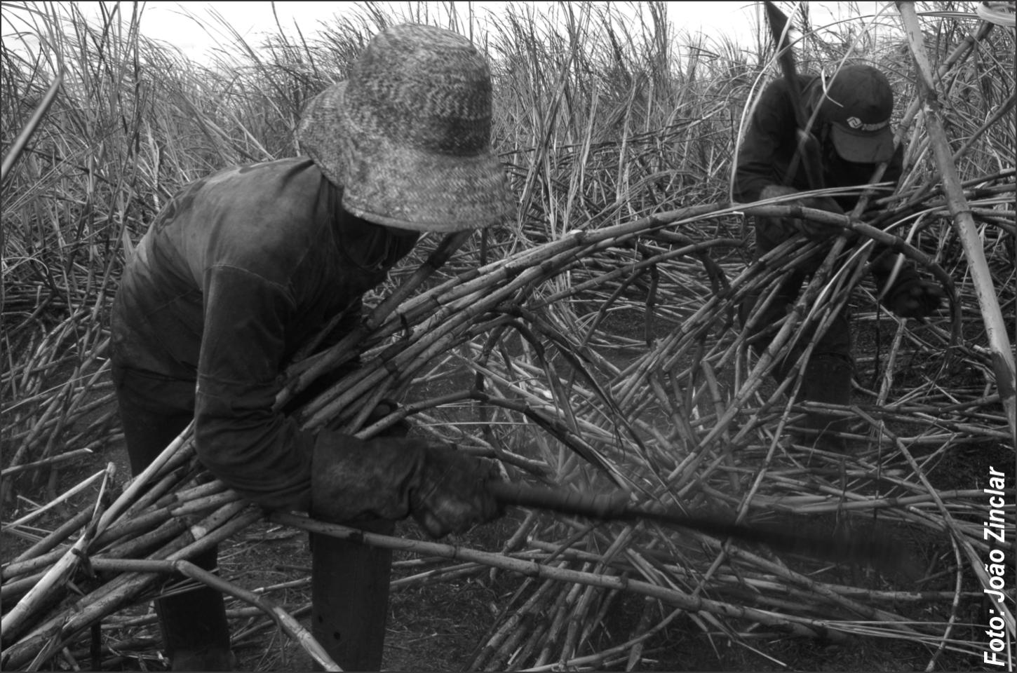 Trabalhadores estrangeiros denunciam condições degradantes e falta de pagamento em propriedade rural de Iporã