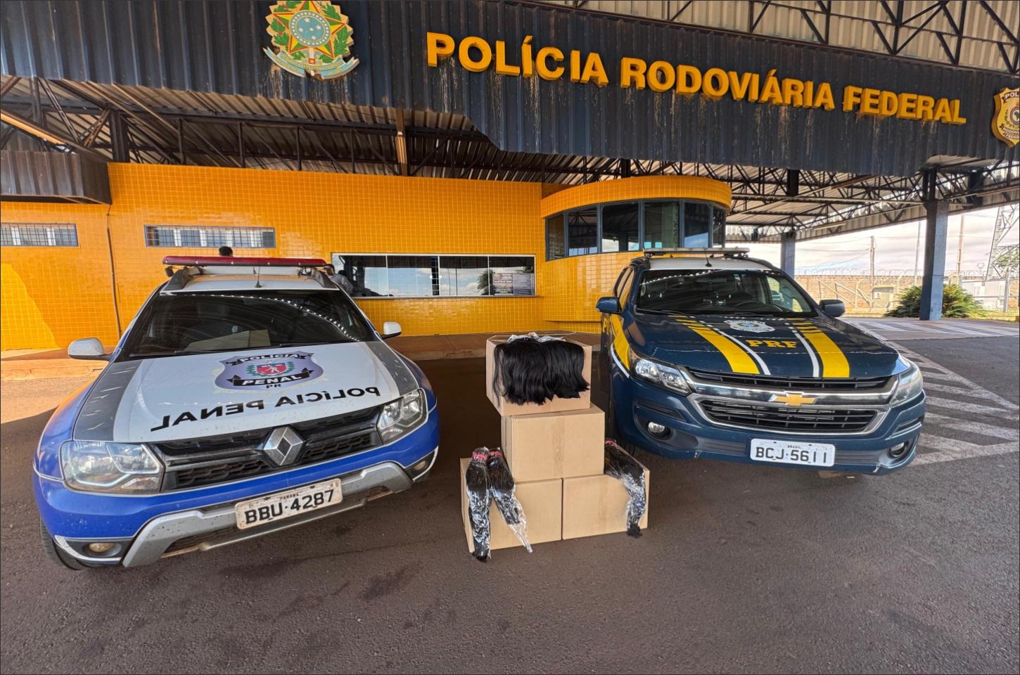 Cabelo apreendido pela PRF é destinado para projeto social em Goioerê 