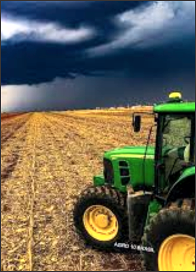 Navegue pela Categoria de Agro