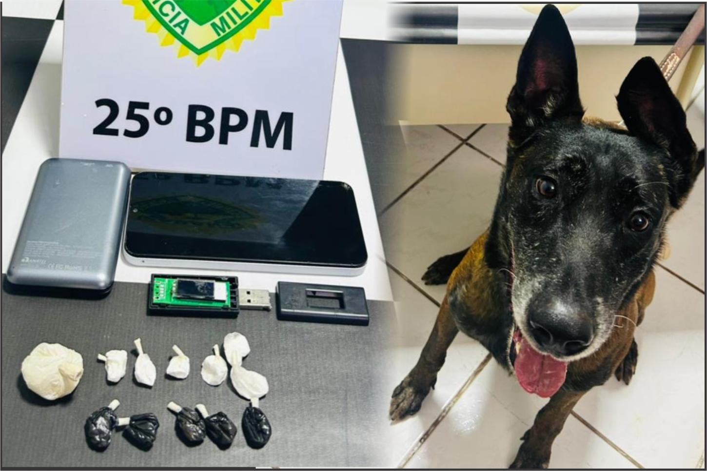 Homem é preso durante cumprimento de mandado após polícia localizar drogas em Alto Piquiri