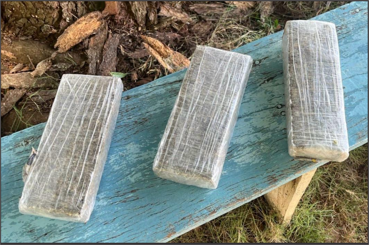 Suspeitos fogem para mata após presença da polícia e mulher é presa por tráfico em ação entre Iporã e Altônia