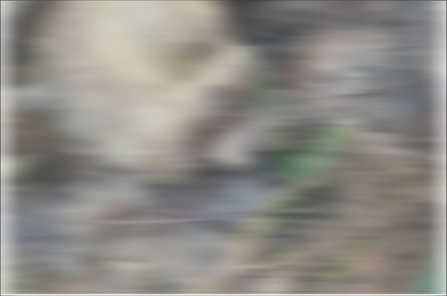 Corpo em decomposição é encontrado e mobiliza autoridades em Altônia