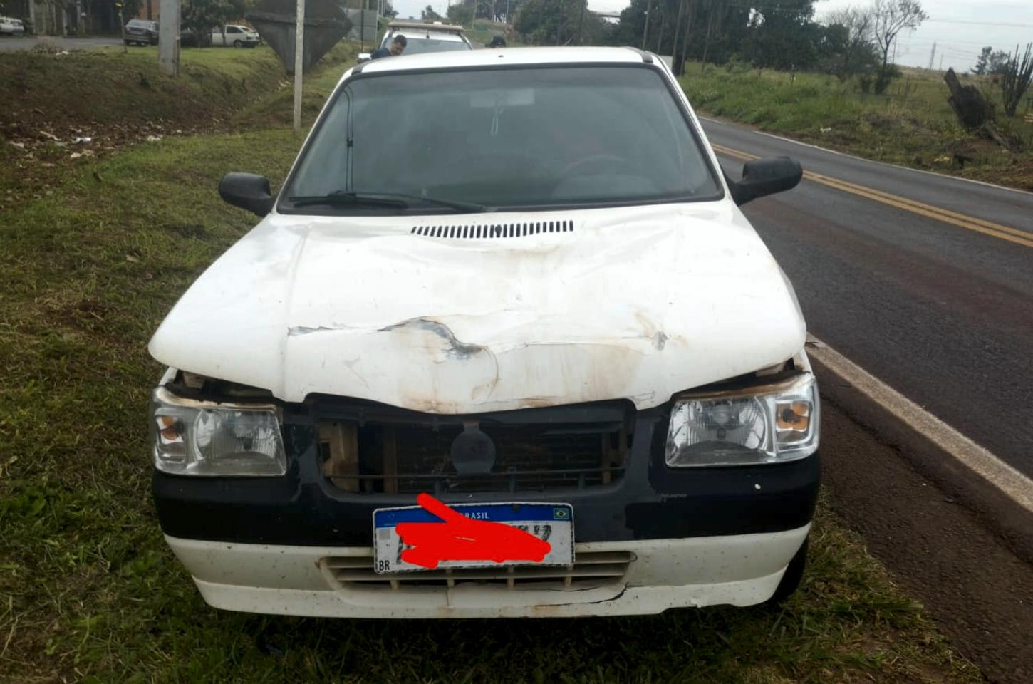 Animal na pista causa acidente na rodovia entre Palotina e Terra Roxa