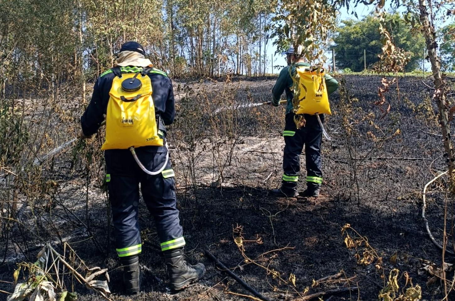 Fogo em lixo sai do controle e provoca incêndio em área de mata próxima a reserva ambiental