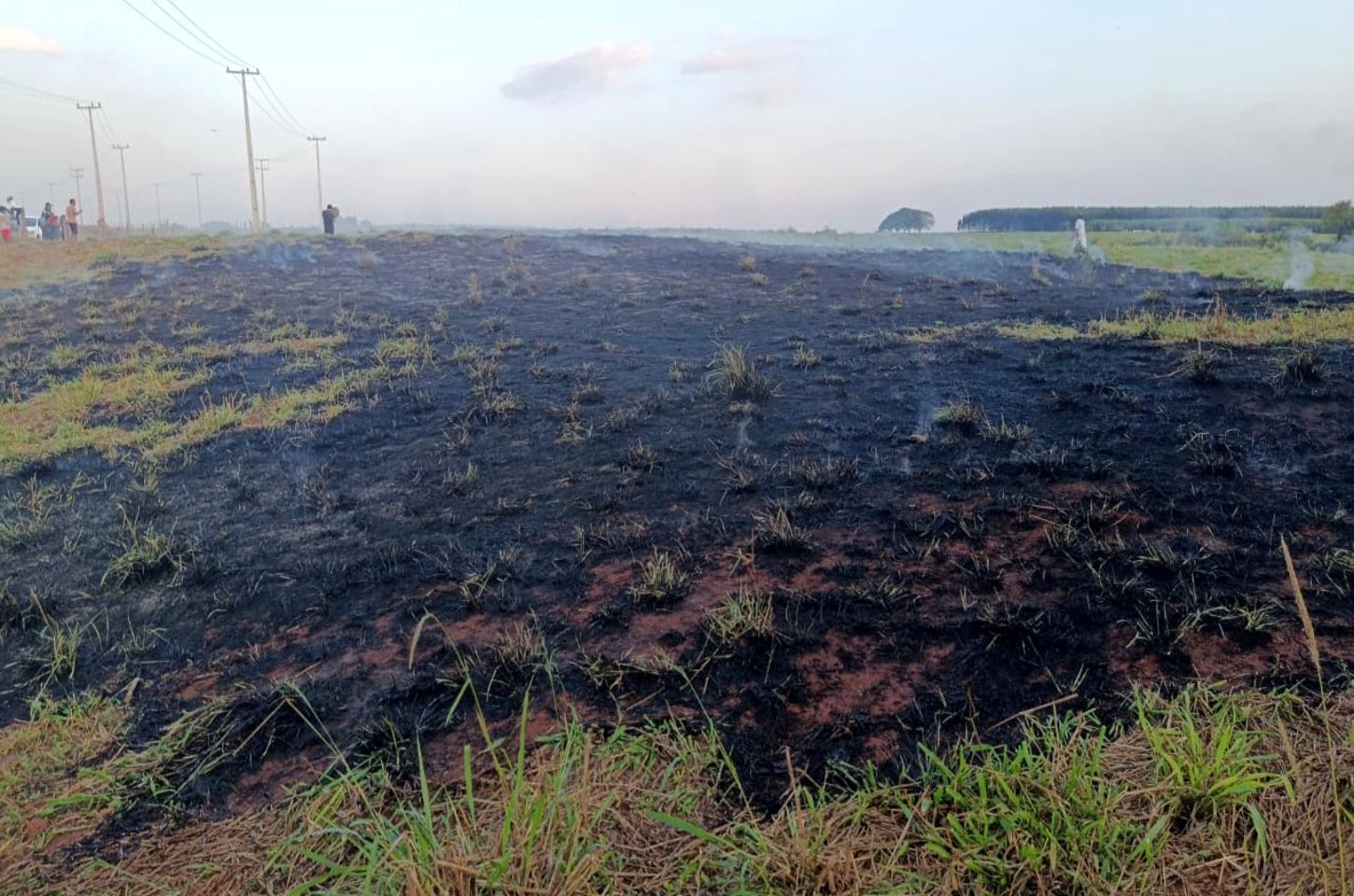 Mais uma queimada acende o alerta: colocar fogo pode sair caro e colocar vidas em risco