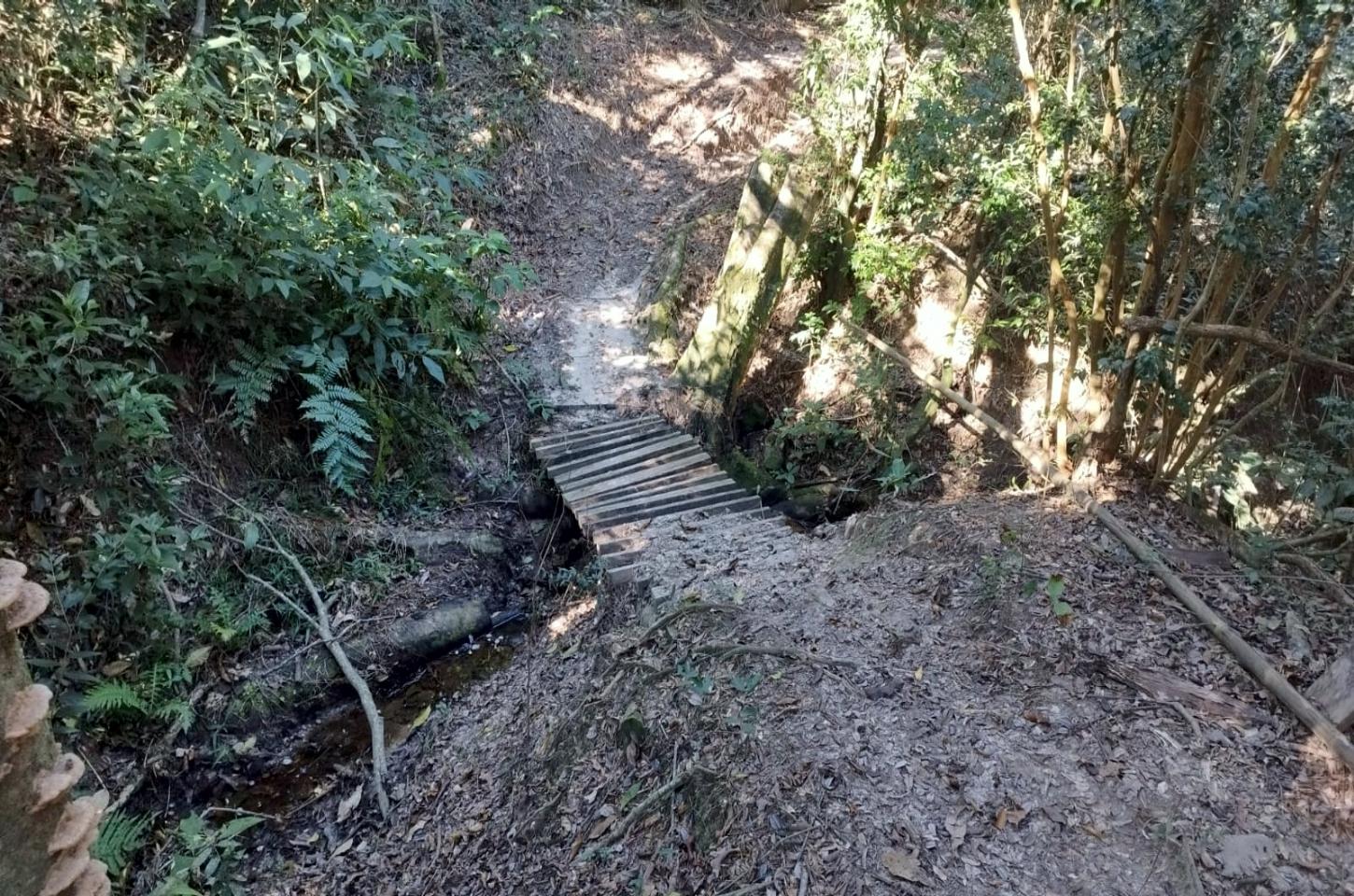Trilha de motocicletas degrada vegetação nativa e afeta área de preservação permanente