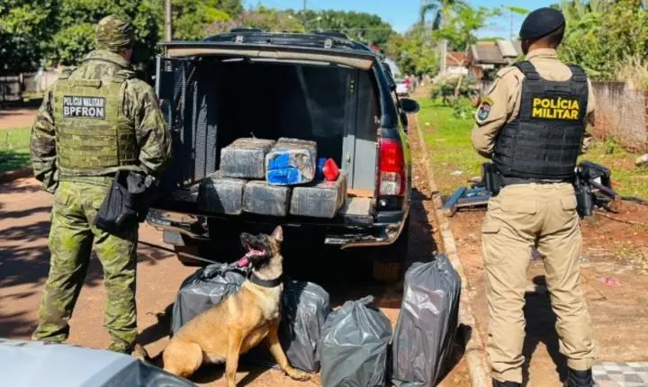Ação integrada das forças policiais resulta na apreensão de quase 179 kg de maconha em Iporã