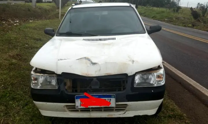 Animal na pista causa acidente na rodovia entre Palotina e Terra Roxa