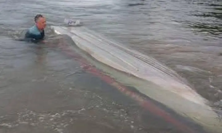 Barco é encontrado à deriva no Rio Paraná e ocupante se salva após atravessar banhado em São Jorge do Patrocínio