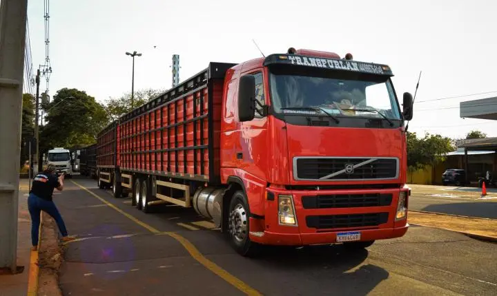 Carreata com 17 carretas marca a chegada de 517 bovinos e anima o setor econômico de Iporã