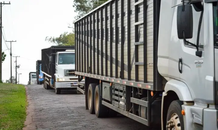 Carreata com 17 carretas marca a chegada de 517 bovinos e anima o setor econômico de Iporã