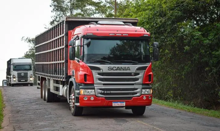 Carreata com 17 carretas marca a chegada de 517 bovinos e anima o setor econômico de Iporã