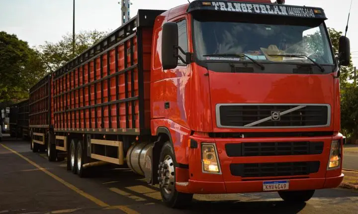 Carreata com 17 carretas marca a chegada de 517 bovinos e anima o setor econômico de Iporã