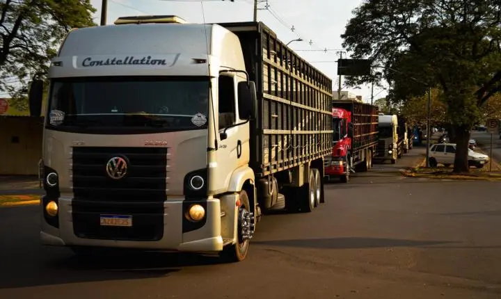 Carreata com 17 carretas marca a chegada de 517 bovinos e anima o setor econômico de Iporã