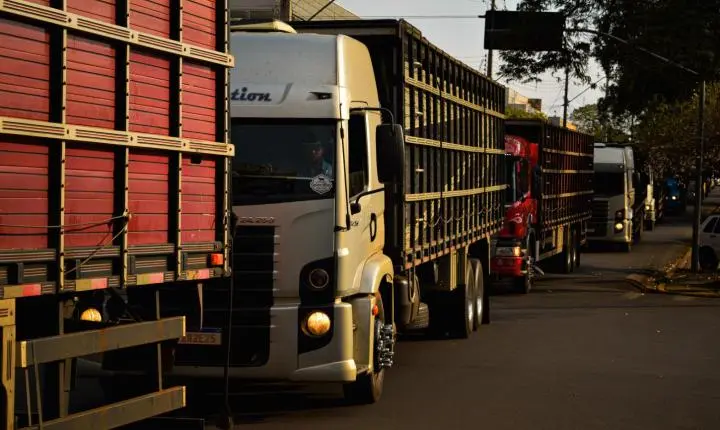 Carreata com 17 carretas marca a chegada de 517 bovinos e anima o setor econômico de Iporã
