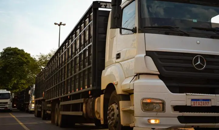 Carreata com 17 carretas marca a chegada de 517 bovinos e anima o setor econômico de Iporã