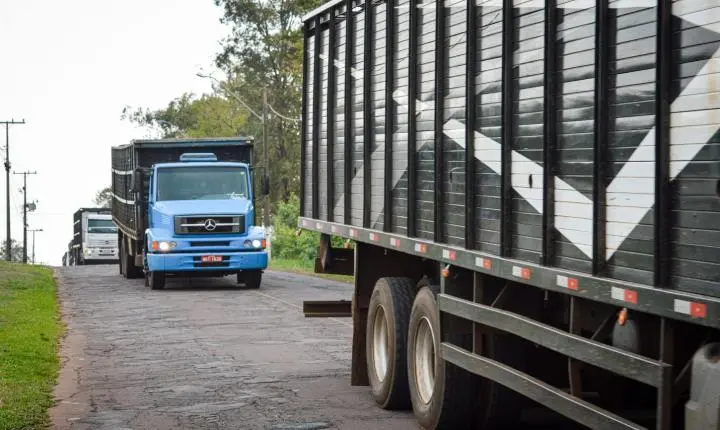 Carreata com 17 carretas marca a chegada de 517 bovinos e anima o setor econômico de Iporã