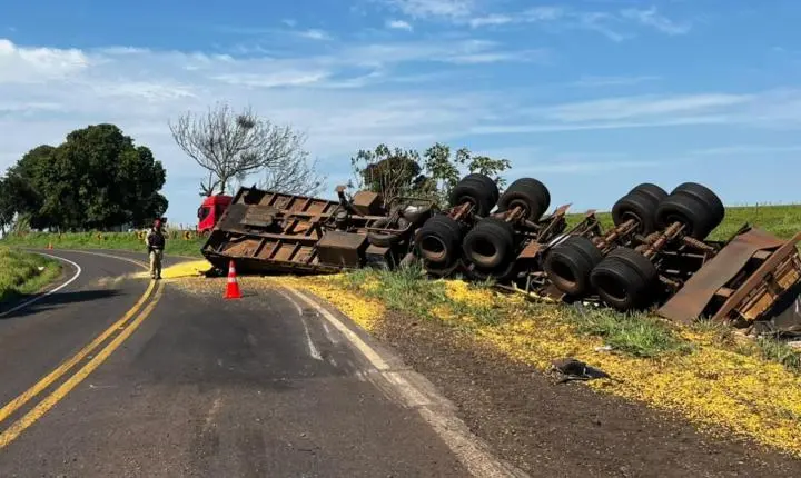 Carreta sai da pista e colide contra árvores, cerca e poste na PR-496, em Terra Roxa