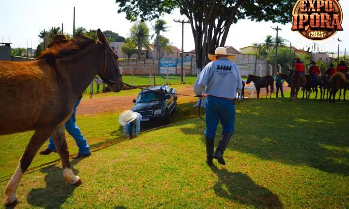Cavalgada abre o clima de festa para a Expo Iporã 2025