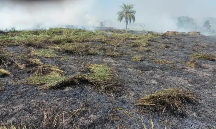 Dois focos de queimadas são registrados em Iporã e Defesa Civil age rápido para evitar maiores danos