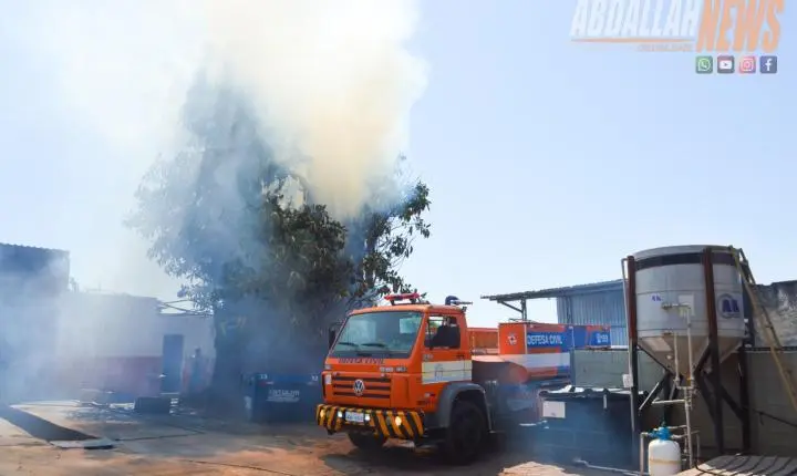 Fogo atinge árvore de grande porte no centro de Iporã e mobiliza Defesa Civil
