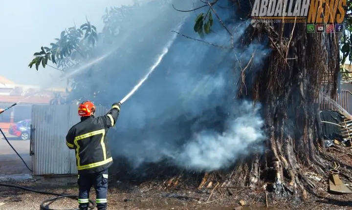 Fogo atinge árvore de grande porte no centro de Iporã e mobiliza Defesa Civil